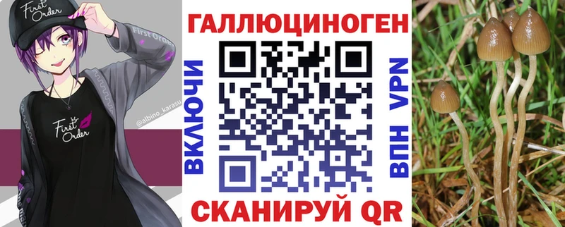 Псилоцибиновые грибы Psilocybe  закладка  Снежинск 